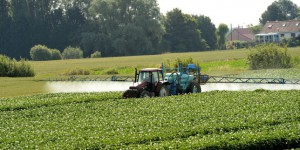 Pesticides : des substances toxiques, invisibles et omniprésentes