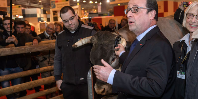 Salon de l’agriculture : Xavier Beulin présente des « excuses » pour les insultes proférées à l’encontre de François Hollande