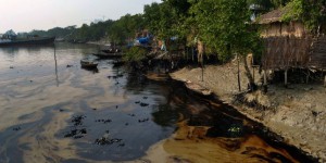 Bangladesh : navigation interdite dans les sanctuaires de dauphins rares