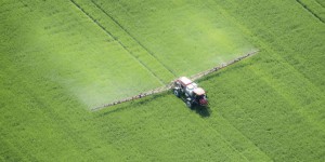 Les coûts cachés exorbitants des pesticides