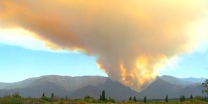 Un incendie ravage une réserve naturelle au Chili
