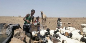Nouvelle vague de famine en Ethiopie