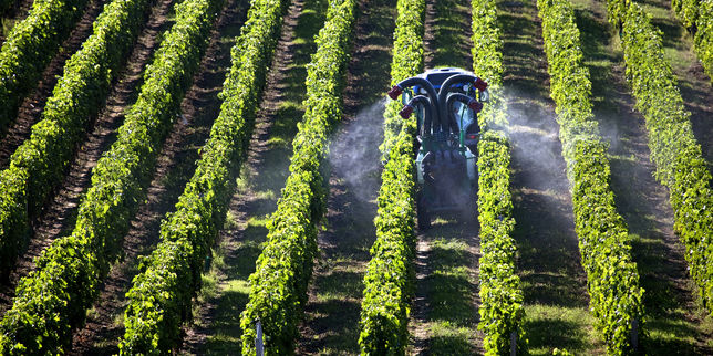 Des pesticides en doses toujours plus massives dans les campagnes