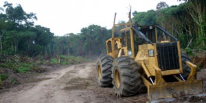 200 millions de dollars pour protéger la forêt du Congo