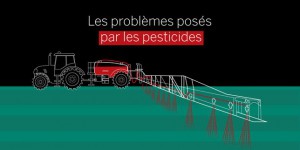 Comprendre les problèmes posés par les pesticides en 5 minutes