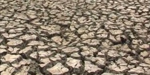 En Inde, l’ouest du Maharashtra frappé par une forte sécheresse