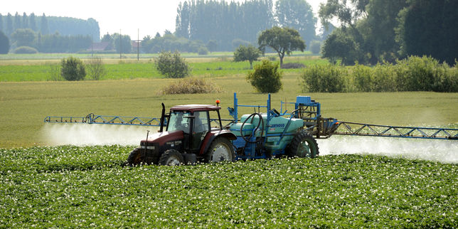 Pesticides : Bruxelles va proposer une réautorisation du Roundup pour dix ans