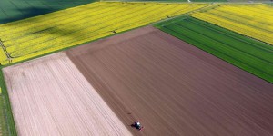 La Politique agricole commune n’a pas créé d’emploi, selon le rapport d’un eurodéputé