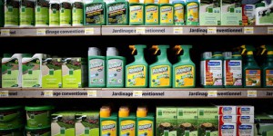 Roundup : Bruxelles demande à Monsanto de rendre publiques ses études