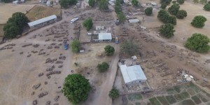 Un drone filme le pillage pour la Chine des dernières forêts du Sénégal