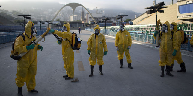 Zika : une centaine d’experts pour le report ou le déplacement des Jeux de Rio