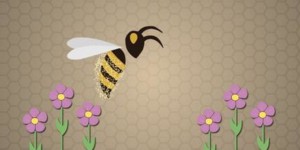 Le déclin des abeilles expliqué en trois minutes