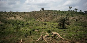 Nourrir l’humanité sans détruire de nouvelles forêts