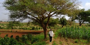 Le village éthiopien qui ne craint plus ni la sécheresse ni l’exode