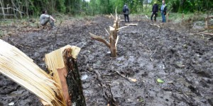 Déchets nucléaires à Bure : la justice suspend les travaux de l’Andra dans le bois Lejuc