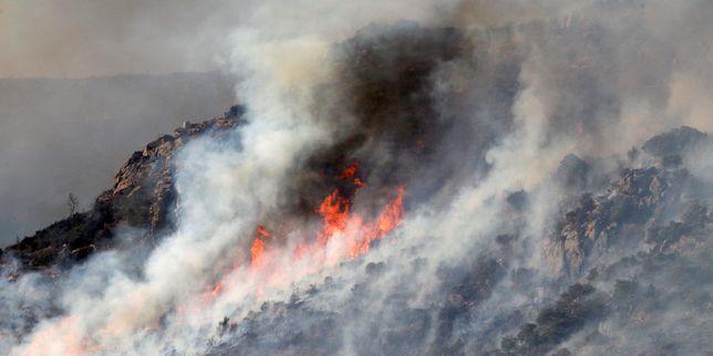 Incendies : dans les Pyrénées-Orientales, plus de 1 000 hectares détruits