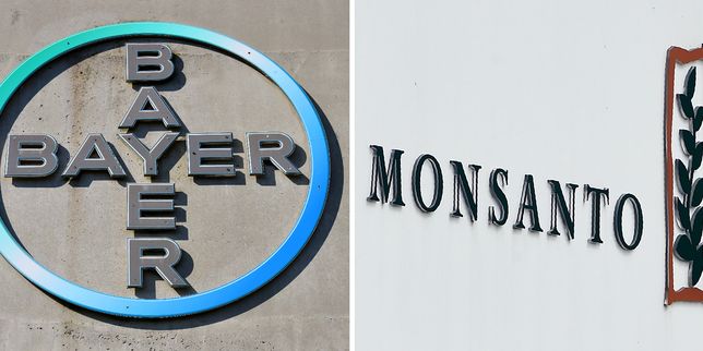 Bayer met 59 milliards d’euros sur la table pour acheter Monsanto