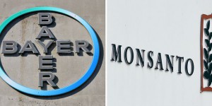 Bayer met 59 milliards d’euros sur la table pour acheter Monsanto