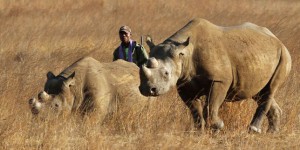 La lutte contre le trafic d’espèces menacées au centre d’une conférence mondiale en Afrique du Sud