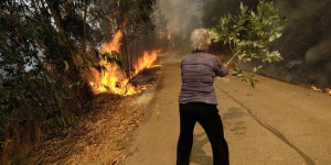 Le Portugal confronté à une centaine de feux de forêt