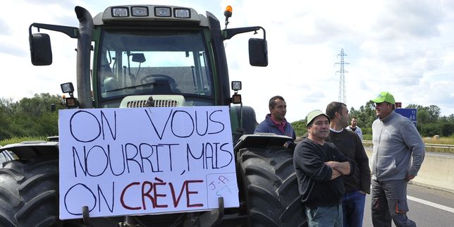 Baisse des revenus, suicides : la crise des agriculteurs « fait beaucoup moins de bruit que l’affaire Alstom »