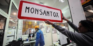Monsanto traduit devant un tribunal international citoyen à La Haye