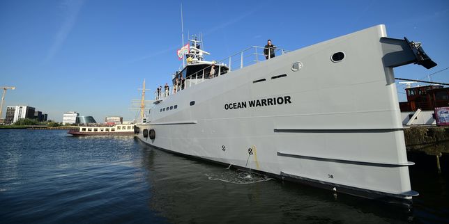 « Ocean-Warrior », nouvelle arme contre les chasseurs de baleines