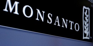 Procès de Monsanto : « Porter atteinte à l’écosystème Terre, c’est menacer la paix, l’humanité »