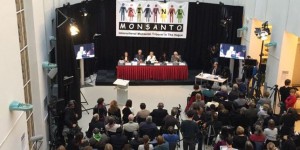 Le tribunal Monsanto commence ses auditions à la Haye