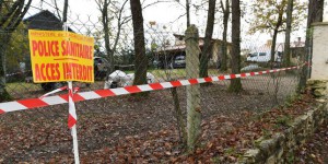 Grippe aviaire : un cas détecté en France parmi des canards sauvages
