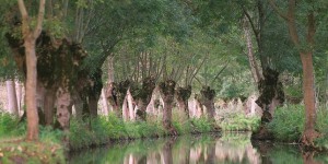 La Loire-Atlantique, département le plus écologique de France, selon « La Vie »