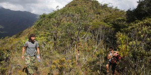 A la recherche de la biodiversité en Nouvelle-Calédonie : la « côte oubliée » redécouverte