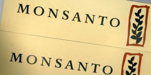 Aux Etats-Unis, l’Etat de Washington porte plainte contre Monsanto