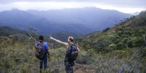 A la recherche de la biodiversité en Nouvelle-Calédonie : collecter le vivant, et après ? (5/5)