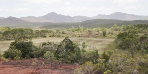 A la recherche de la biodiversité en Nouvelle-Calédonie : la vie invisible (4/5)