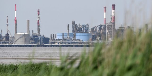 Total condamné à verser 80 000 euros à la LPO après avoir pollué la Loire