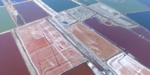 Chine : un spectacle rare sur des marais salants