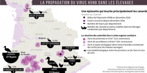 La grippe aviaire dans le Sud-Ouest, cartographie d’une épidémie
