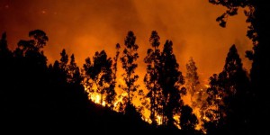 Des incendies dévorent des dizaines de milliers d’hectares au Chili