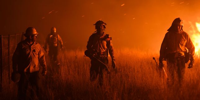 Incendies monstres en Argentine : 800 000 hectares partent en fumée