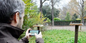 Un jeu sur smartphone pour aider les chercheurs à protéger les oiseaux