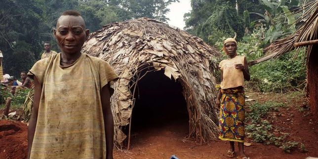 Le WWF accusé de « violation des droits de l’homme » au Cameroun