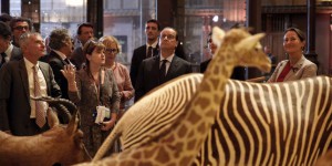 Les « erreurs stratégiques » du Muséum national d’histoire naturelle et du zoo de Vincennes