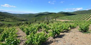 L’Hérault grignote sur ses terres agricoles à un rythme alarmant