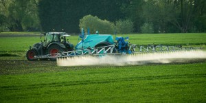 La réduction des pesticides ne pèse pas sur la rentabilité des exploitations céréalières