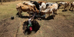 Au Kenya, la guerre de l’eau enflamme la vallée du Rift