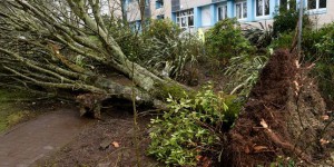 Tempête Zeus : 200 000 foyers toujours privés d’électricité