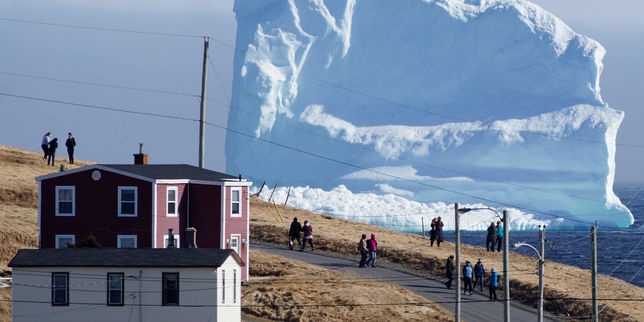 Canada : un iceberg coincé au large de Terre-Neuve