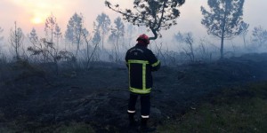 Gironde : 650 hectares de pins détruits dans une journée d’incendies de forêt