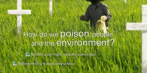 La France exporte un pesticide interdit vers les pays en développement